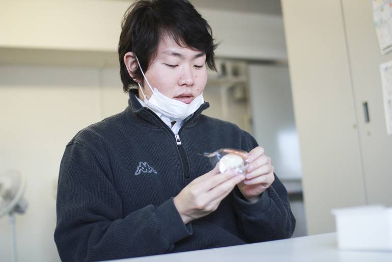 大福を向く白井君 大福を向く白井君